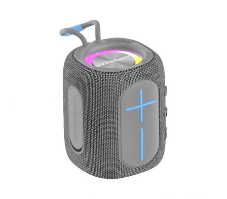 Speaker Hopestar HS-1564