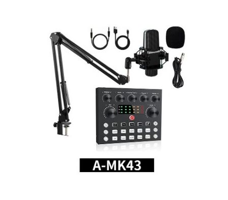 Micrófono Profesional A-MK43