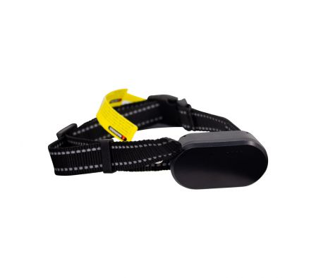 Collar de Entrenamiento A-MSDT01