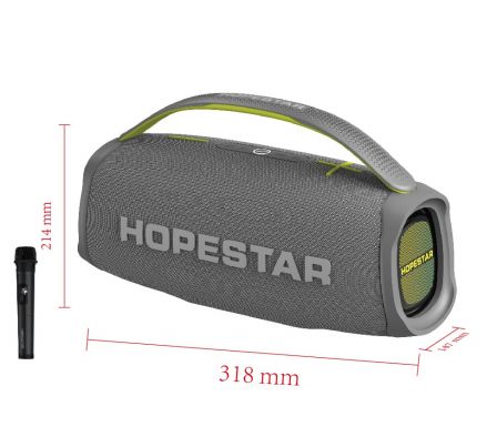 Speaker HOPESTAR HS-1374 