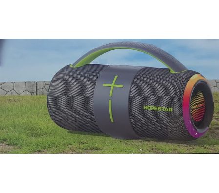 Speaker HOPESTAR  HS-1624 